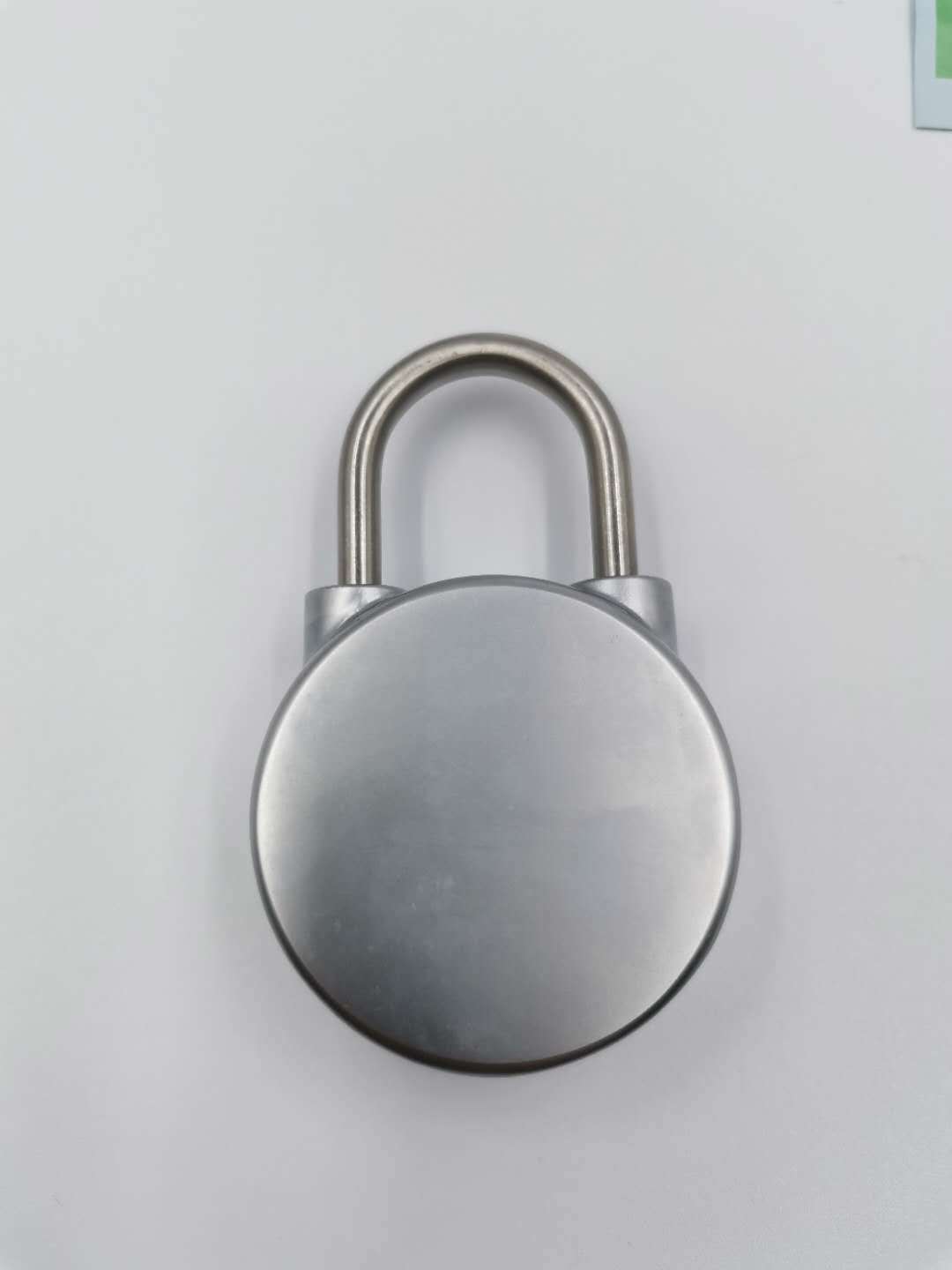 Anti-Theft Fingerprint Lock For Gym Locker